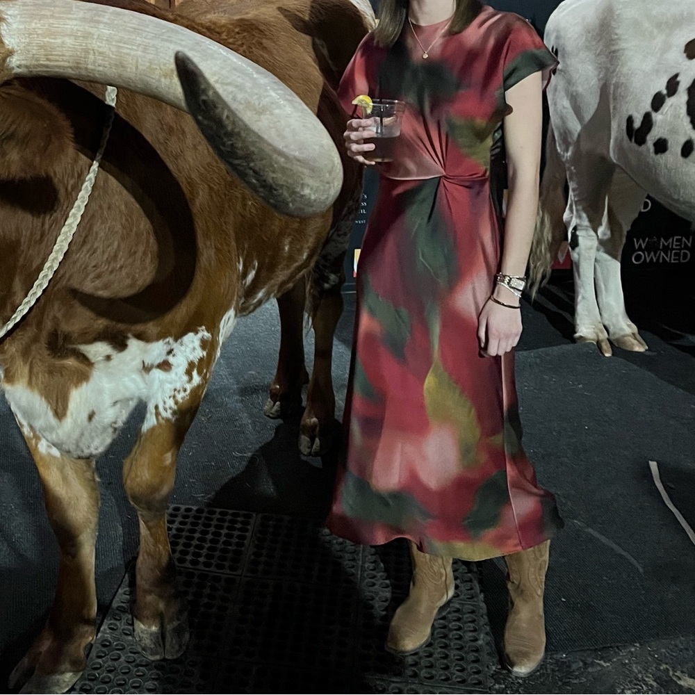 Zara Silk Maxi Dress